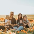 KJ 행정사 이미지