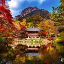 백양사 쌍계루 이미지