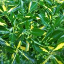 종환농장 이미지