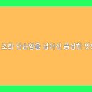 문화찜