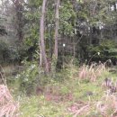 색달동-2 이미지