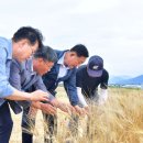 장성수퍼 이미지