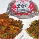 (실습)입맛 돋우는 봄김치 담그기 | 운림가 오이소박이 양념 및 레시피 꿀맛 보장 :) 네이버 가정의달 특선물 프로모션 놓치지 마세요!