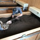 더쉼효소 이미지