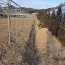 수막 목장 이미지