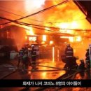 티나인터내셔널