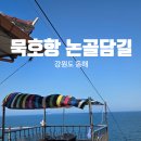 강릉방향 동군포IC | 묵호항 논골담길 코스 다녀온 후기 (주차/등대/카페까지 동선 정리)