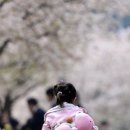 하루락꾸