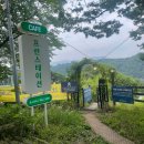 프란스테이션 | [옥천] 레이크뷰 브런치 카페, 프란스테이션, 중형견 동반 후기