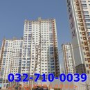 로얄더비파크 이미지