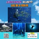 제주휠체어투어 네이버블로그