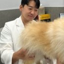 대구24시바른동물의료센터 이미지