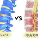 경희백세한의원 이미지