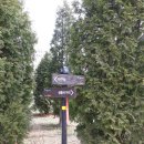 임월교 앞 이미지