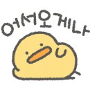 실무 포토샵(자격증반) 이미지