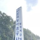 문광저수지 은행나무길 단풍 실시간 후기