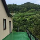 눈꽃새펜션 이미지