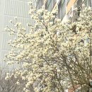 마장동고기집 천호점 이미지