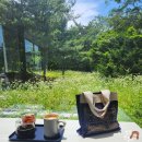 금단지 | 커피의 효능 &amp; 부작용 금단현상 (카페인 디톡스 커피끊기 플랜)