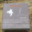 방아머리공원(솔밭) 이미지