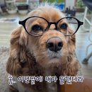 수지행복한약국 | [2월 일상 기록] 소소하게 보낸 2월 한달 몰아보기