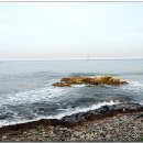 삼촌수산