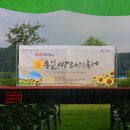 통일 해바라기 축제 이미지