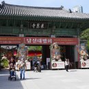 한국애견용품연구소 | 강남 봉은사 애견동반 가능할까? 소원초·소원팔찌까지 직접 해본 리얼 후기 (외국인도 많이 찾는 관광지)