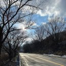 무주 풀빌라 옐로스톤 | 무주 풀빌라 옐로스톤 다섯번째방 내돈내산후기