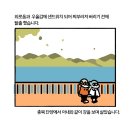 키드씨키드