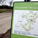 제주동쪽 이미지