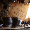 향기고운 이미지