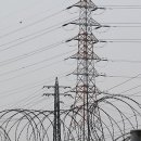 제룡전기 폭득 가능성 만빵 상한가 줄줄이 시작인 대박주 !!!!!!!!!!!## 이미지