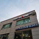 에스(S)뷰티 레푸스 불광점 | 연신내속눈썹 연신내속눈썹펌 S뷰티 레푸스 불광점 속눈썸펌 후기