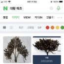 대황축산 이미지