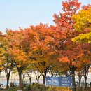 냉천(낭만자전거1) | 가을 낭만 가득! 여의도한강공원 풍광 단풍 산책 자전거 먹거리