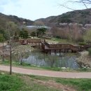 화명수목원 Daum카페