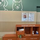 안성 스타필드 애견 동반 식당, 위드펫 매장 매드포갈릭