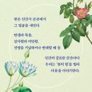 지성도서