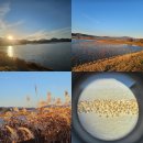 도래지 | 국내 겨울여행지 추천 경남 창원 주남저수지 아이와 철새도래지 탐조