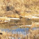 운봉초등학교 앞 이미지