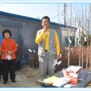 합동농원 Daum카페