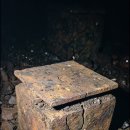 6천만년전 석탄과 3억년전 석탄층에서 이미지