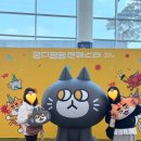 고양이허니캣 | 대전 2026 궁디팡팡 캣페스타 후기/쇼핑리스트/주차꿀팁