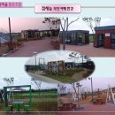 반야월연꽃마을협동조합
