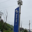 미니 앤 바니 애견샵 | 경주 감포 오션뷰숙소 샵앤플렛 풀빌라 호텔 내돈내산 찐 솔직후기