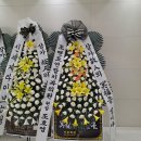 조앤조연합치과의원 이미지