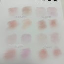 [겨쿨딥톤] 비오브 신상 09뮤트베이지 내돈내산 후기 (04모브가든, 02쿨믹스, 백도복숭아 비교)