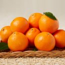 필라테스 귤 이미지