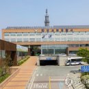 선관위 특검 조사받던 선관위 직원, 숨진 채 발견 이미지